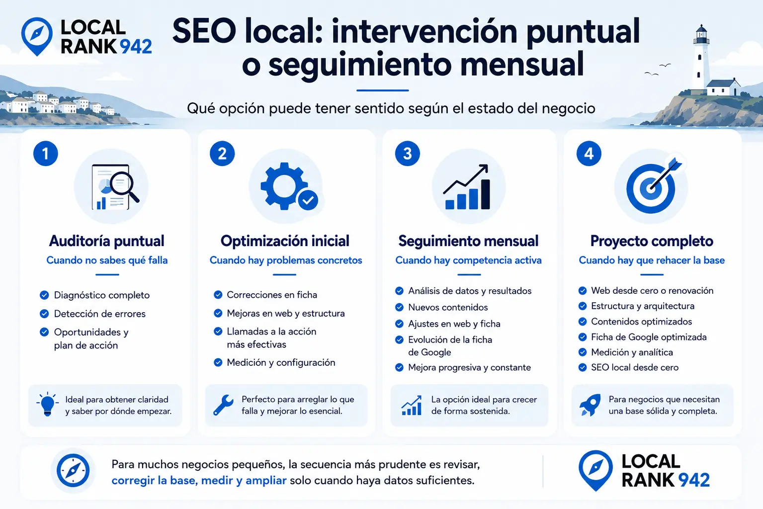 seo mensual intervencion puntual